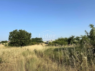 Terreno Vrsi, 2.280m2