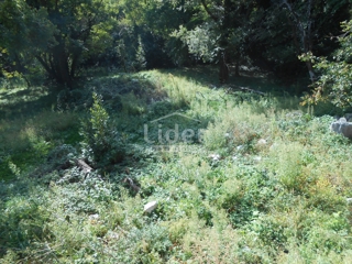 ANTOVO (GRIŽANE) Terreno edificabile di 1126 m2