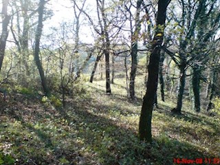 Terreno Cernik, Čavle, 1.724m2