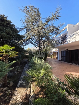 Casa Novalja, 372m2
