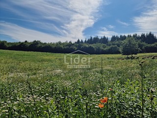 Terreno Markovići, Vižinada, 10.858m2