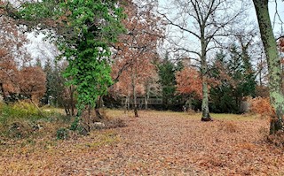 Terreno Poreč, 2.755m2