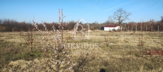 Terreno Kranjčići, Svetvinčenat, 27.300m2