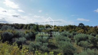 Terreno Bale, 1.928m2