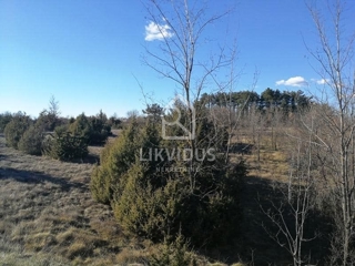 Terreno Kanfanar, 46.093m2