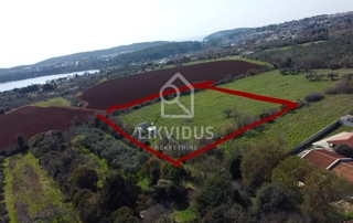Terreno agricolo, 6.618 m², Pomer, con edificio legalizzato di circa 30 m²