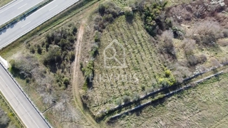  Terreno Agricolo, Vigneto, Dignano, 1.877 m²