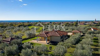 VODNJAN - casa a un piano con giardino 1831m2