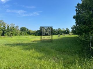 Parenzo, dintorni, Bellissimo terreno agricolo!