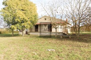 Parenzo, dintorni, Piano terra con ampio cortile