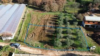 Parenzo, dintorni, terreno edificabile con progetto!