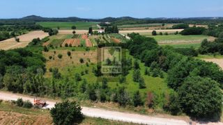 Parenzo, dintorni, Splendido terreno agricolo!