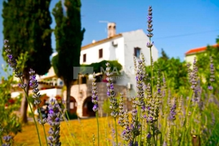 Casa Punat, 270m2