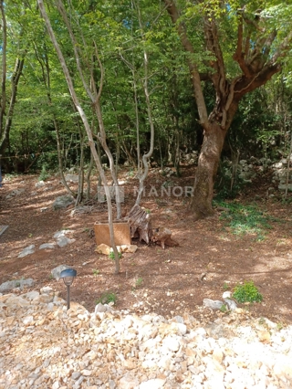 Kras, Dobrinj, 770m2