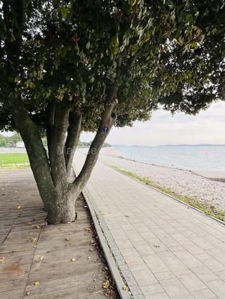 Peroj - Appartamento bilocale al piano terra con balcone