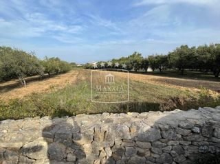 Terreno Pridraga, Novigrad, 2.162m2