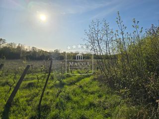 Terreno Pridraga, Novigrad, 3.526m2