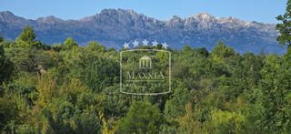 Terreno Pridraga, Novigrad, 1.024m2