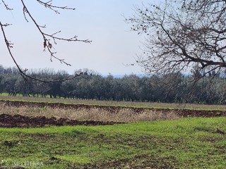Terreno edificabile a Novigrad, Istria