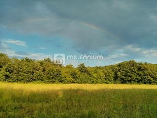 Terreno Labin, 24.999m2
