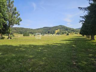 Terreno Stari Laz, Ravna Gora, 4.440m2