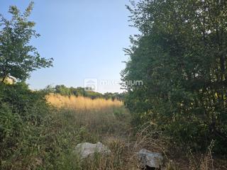 Terreno Čavle, 3.106m2