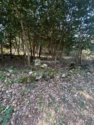 Terreno Šumber, Sveta Nedelja, 637m2