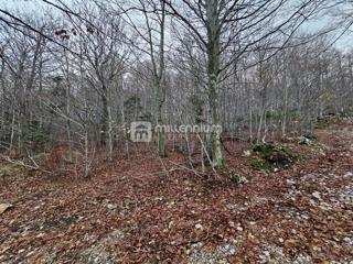 Terreno Lič, Fužine, 2.930m2