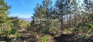 Terreno Paz, Cerovlje, 213.562m2