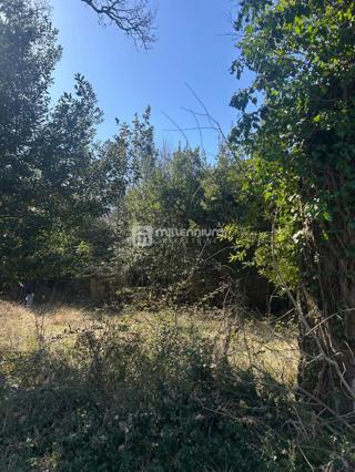 Terreno Šumber, Sveta Nedelja, 512m2