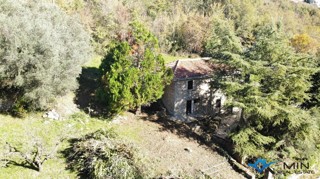 Casa indipendente in pietra a Grisignana