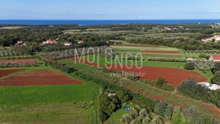 Terreno Lovrečica, Umag, 1.976m2