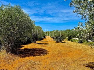 Terreno Bale, 3.000m2