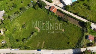 ISTRIA, BRTONIGLA – Terreno edificabile 1048 m²