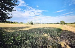 Terreno Cerjani, Kaštelir-Labinci, 32.600m2