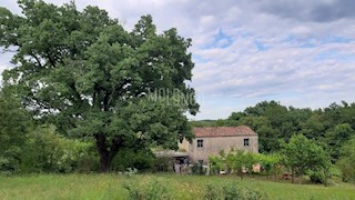 Casa Kranjci, Labin, 123m2