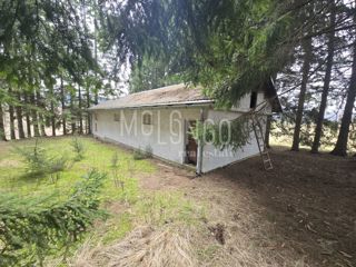 Commerciale Ravna Gora, 106m2