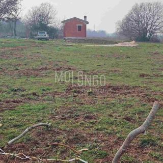 ISTRA, ROVIGNO – Casa di 47,5 m² su un terreno di 14.000 m²!