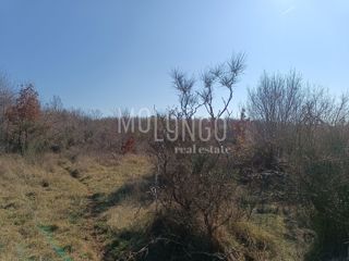 ISTRA, POREČ Attraente proprieta' agricola con vista mare