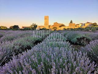 ISTRA, POREČ Attraente proprieta' agricola con vista mare