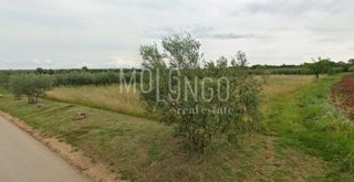 Terreno Tar, Tar-Vabriga, 3.496m2