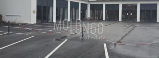 Commerciale Opatija - Centar, Opatija, 115m2