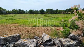 Terreno Kršete, Buje, 49.000m2