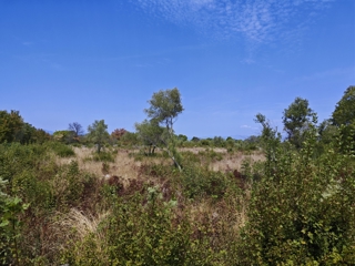 ISOLA DI KRK, vicinanze Malinska - Terreno edificabile