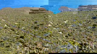 Casa in pietra con terreno agricolo circostante