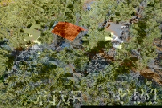 Uliveto con vista mare a Jelsa