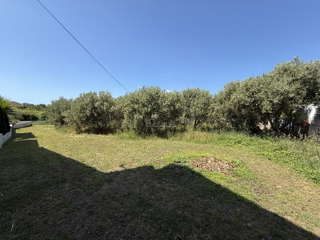 Vodice - Terreno edificabile a soli 250 m dalla spiaggia