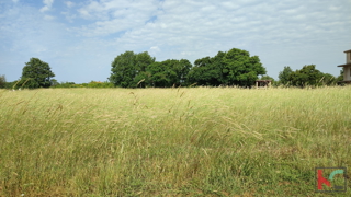 Istria, Šišan, terreno edificabile 3000m2 del formato corretto