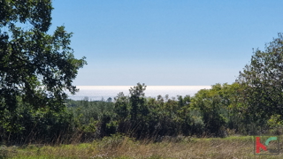 Istria, Perugia, terreno edificabile e agricolo 5932m2 con vista mare