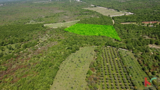 ISTRA - VODNJAN, TERRENO 18.775m2, #VENDITA